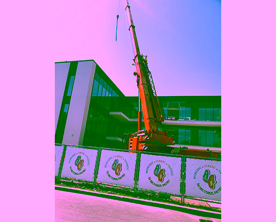 Macara de 100 tone 4